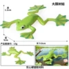 M-3599 Large Webbed Tree Frog