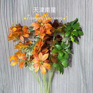 ����Gֲ�lؔ�~����ľ���⹤�̈@���쾰�廨�ٻ�������ꐔzӰ�b�