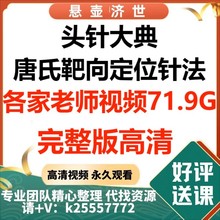 焦氏靶向针法针唐政夫唐氏头针宫氏大典视频头定位唐氏各家老师