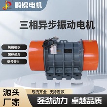 工业VB-100756-W 振动电机IP55防护 0.75-15KW 洗沙设备 筛分设备