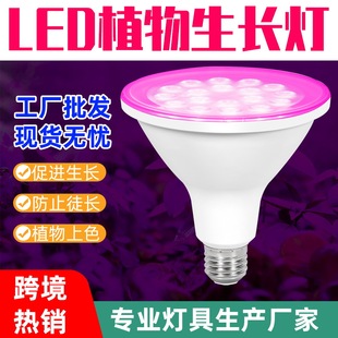 Led Plant Par38 Bulb Balcony Succulent Potted Plant Supplementary Light Imitation Sunlight Spectrum Helps Growth and Is Available in All Stages