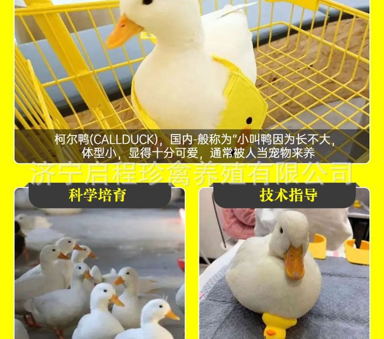 u=3932014620,773423377&