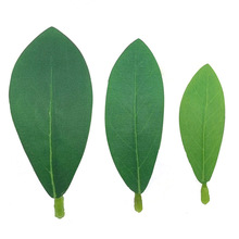 SֱN N~ zӡ~ ÷滨廨