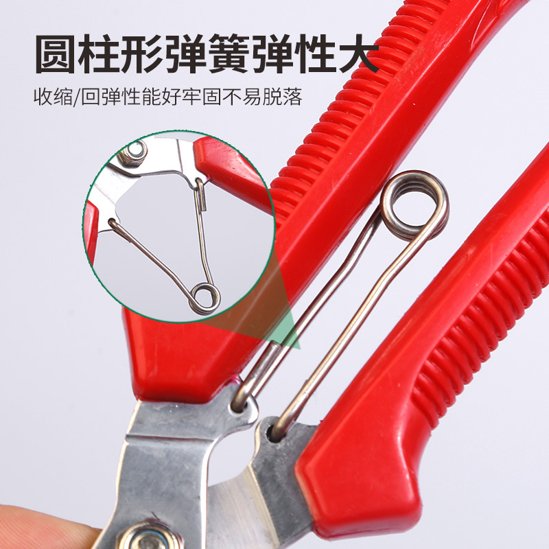 Gana grandes frutas recogiendo flores poda de uva poda de verduras y frutas bonsai poda vegetal tijeras de adelgazamiento de flores nácar naranja tijeras de recolección de frutas