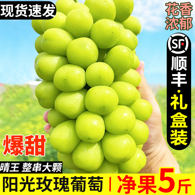 Sunshine Rose grapes 5 jin Qing Wang grapes fresh seedless grapes Xing Yin green grapes fresh seasonal whole box