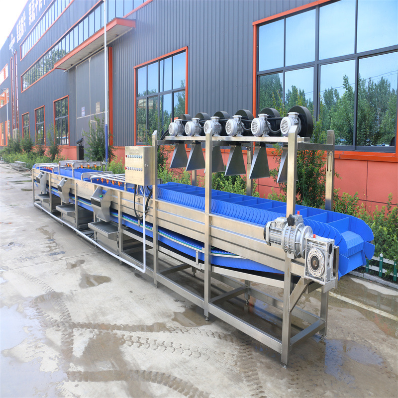 中央厨房蔬菜清洗机 净菜加工清洗流水线 果蔬清洗成套设备新品