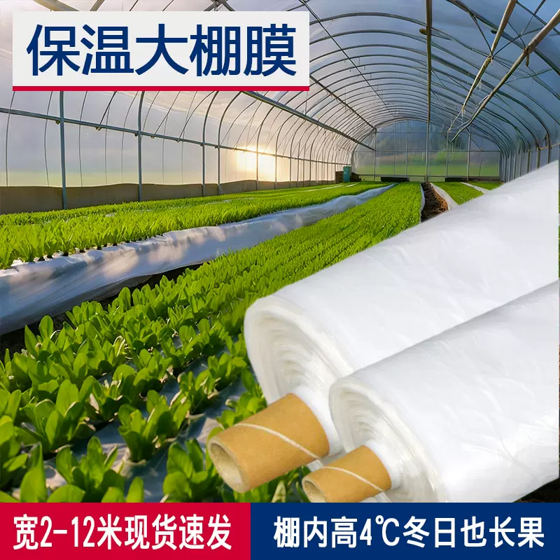 农用塑料筒膜pe聚乙烯防水大棚膜生产批发农膜透明塑料布防雨薄膜