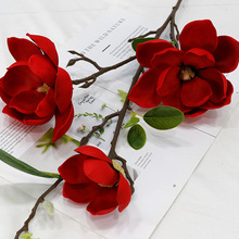 õ�ﻨˇ �҃ȼҾӻ�c�Ƶ��b����m������EVA�ָ��m�� ��3�^���m