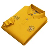 阿里虎 Осенний модный комбинированный лонгслив, футболка polo, (в наличии на складе), с вышивкой