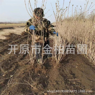 �t�����\��ͥԺ����ľ���Ա���t�����\������Ǥ��С���ľ������