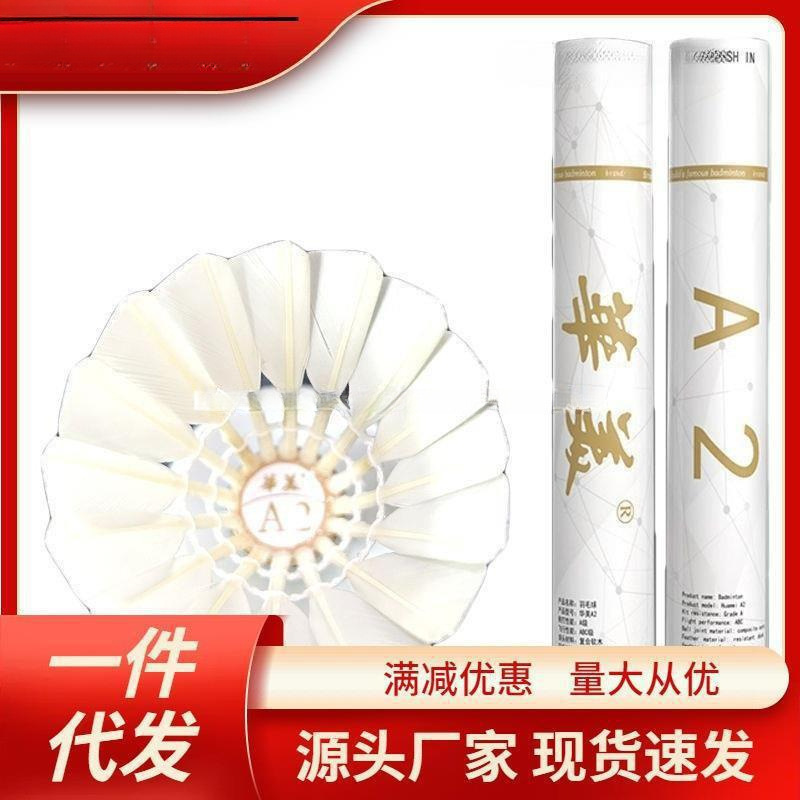 지능형 HUAMEI 배드민턴 훈련 경쟁 저항 안정적인 우편 놀이 청소년 후방 LI 지능형 HUAMEI 배드민턴 훈련 비율