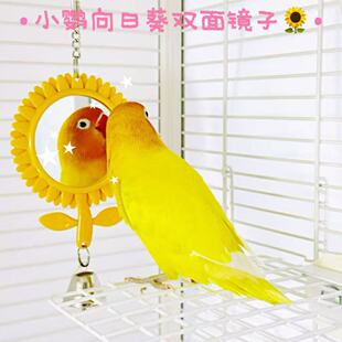��Ʒ�W�^���տ��p���B���R̫ꖻ������R����߿�ҧ�B��Ʒ�쾰�b�