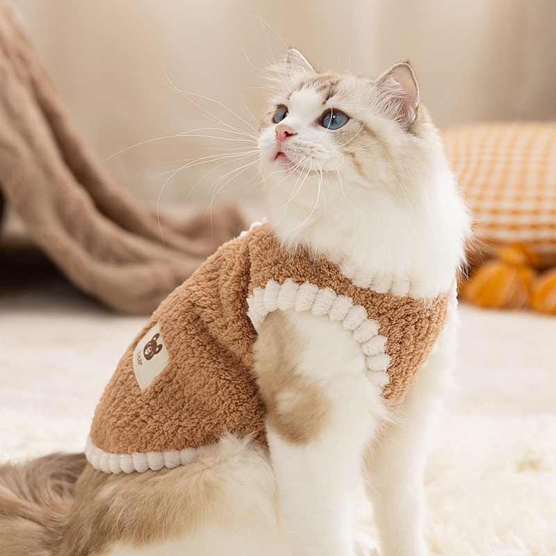 Gato otoño invierno gato sin pelo estilo coreano oso pegatinas chaleco de peluche perros dos piernas ropa de peluche mascota gato
