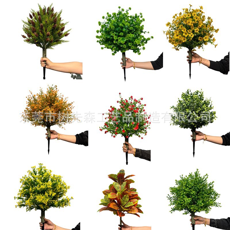 跨境新品地插类黄杨木薰衣草松柏发财果柠檬树茶花植物厂家直销发