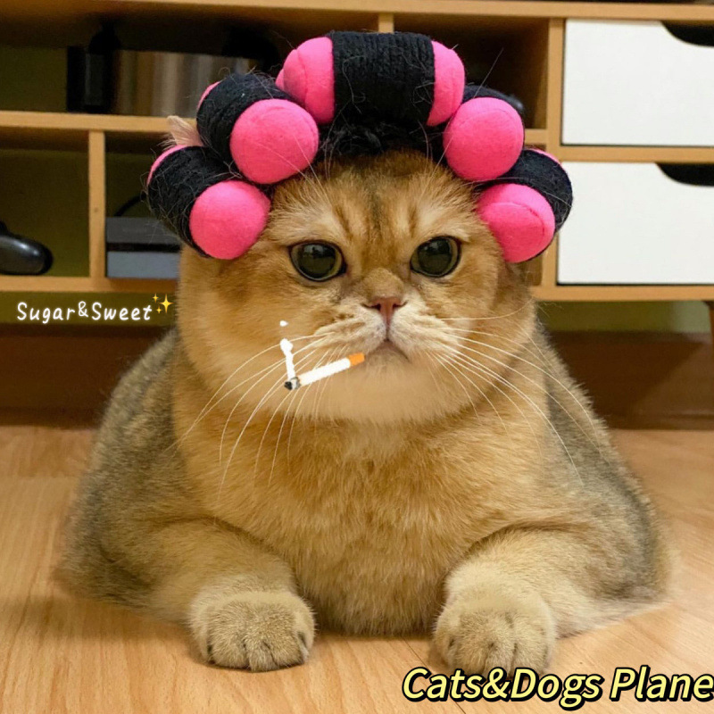 猫咪可爱搞怪变装帽宠物帽子金渐层英短德文狗狗汉堡头套卡通头饰|undefined