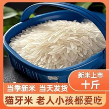 �V���������׽z�����L�����������������������״���؈������ճ��