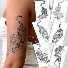 ����ϵ�Ԛ��ϻ�ʮ�ּܻʹڳ��ϵ�мy���N���п����ÿ羳��Ʒ