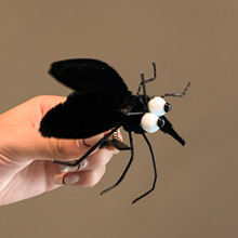 ~ɐۿͨɫëqӰlAŮ߅քAlA^