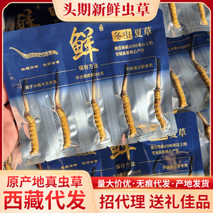 �a�ش��l���r���x�Ĳݸߺ��������r�x����Ͳ����l���r�x���д���