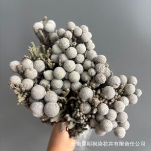 �������yɺ�����ɻ���Ȼֲ���b廨�ҾӲ��������쾰DIY��ˇ