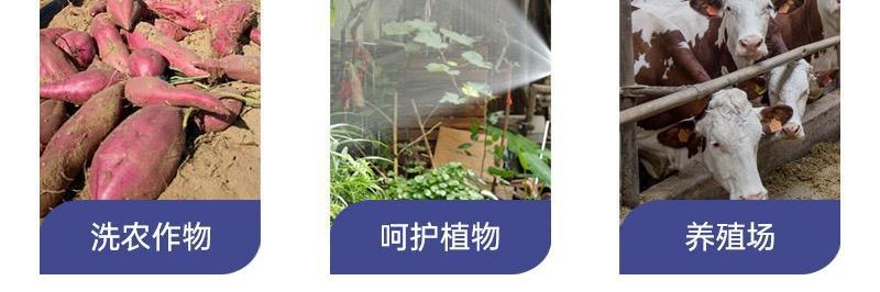 21V Car Washing Machine, Wireless Lithium Battery, Powerful Household Rechargeable Portable High-Pressure Water Gun