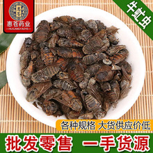 ��ș��ţ��xɢ�b��ţ�nωţå�xţ���Ӡ��xæ�x����ă��д���