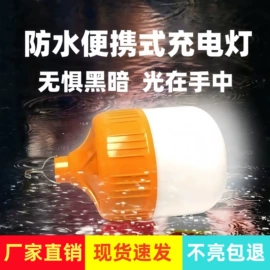 LED球泡灯;野营/露营灯;LED应急灯