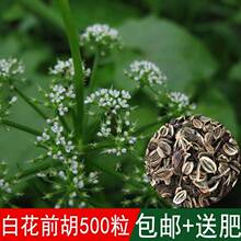 �²�ș���Ѱ׻�ǰ���N�ӄe���u�_ǰ����ǰ��ɽ�������ļ��ɲ�