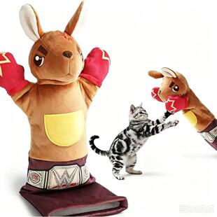 �羳�¿�Kangaroo boxer ؈�以��ȭ����ߴ���ȭ��ë�q��؈��ż