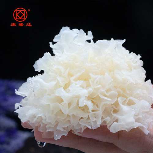 Kangwang Gutian basswood small white fungus in bulk 500g edible fungi origin wholesale small white fungus manufacturer direct sales wholesale
