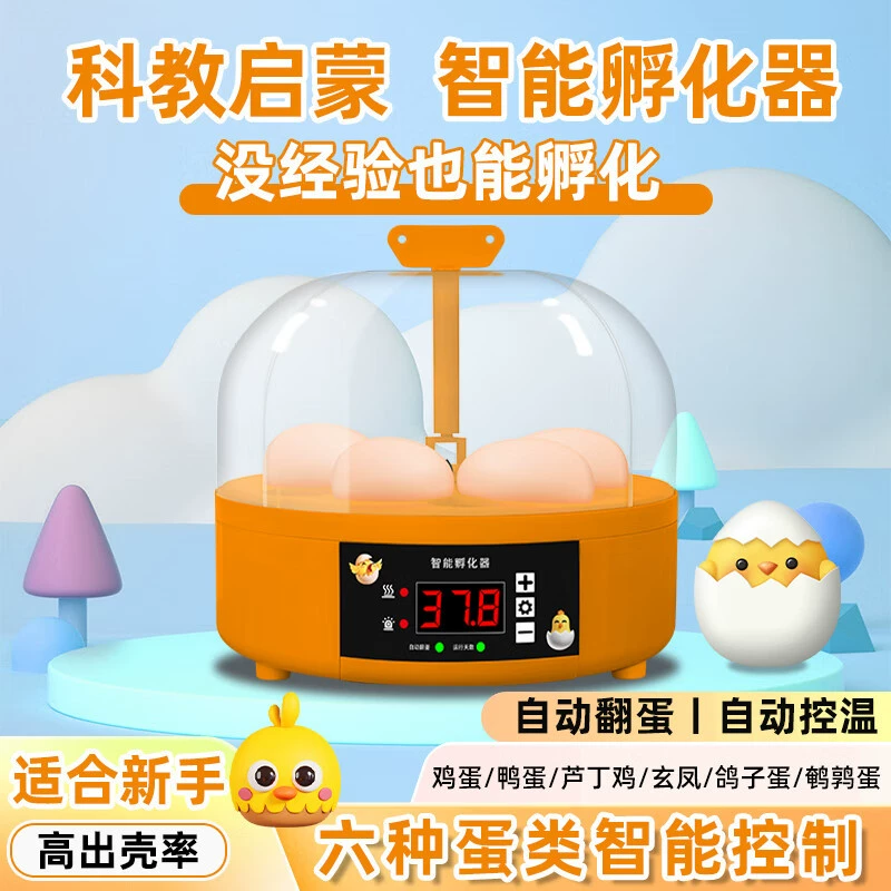 Инкубатор для детей Smart Домашнее обучение Маленькая Рудинг Курица Инкубатор Курица Утиная Гусь Инкубатор Автоматический Инкубатор