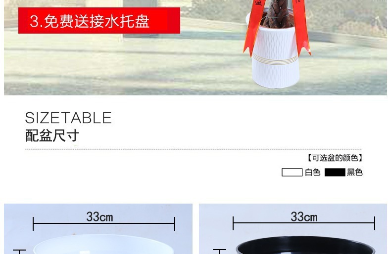 ��������ͼ�����ڻ��� �辰ֲ�� ���������� �������⻨�� ��