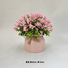 ٻ͏dƙk҄[bϻ辰ɴl