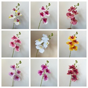 ���滨�����m4�^С��֦�ҾӔ[�Ż�c�廨DIYܛ�b�zӰ�b��m��