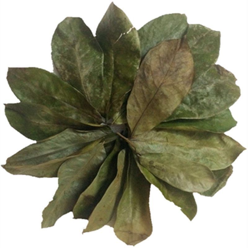 Whole Dried Soursop Leaves 120g Bag Freeze Dried Herbal Tea Leaves for Daily Infusions key features
