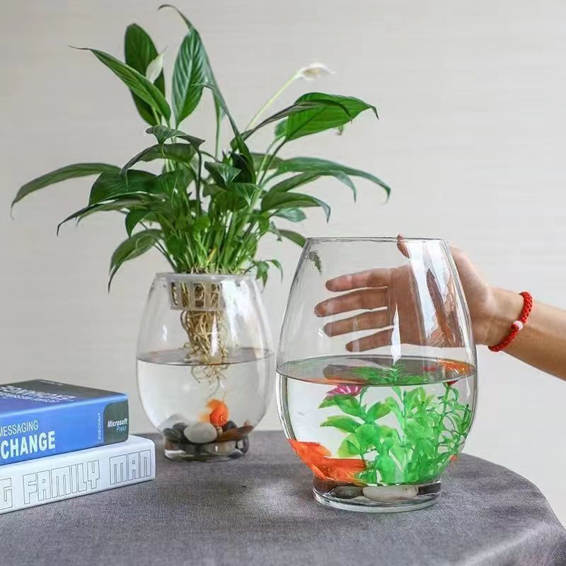 Botella de vidrio hidropónico huevo de dinosaurio tamaño acuario acuario de vidrio acuario fábrica de vasijas transparentes idea al por mayor