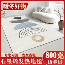 石墨烯電熱地毯客廳地暖墊家用移動卧室毛毛絨發熱地毯加熱取暖墊