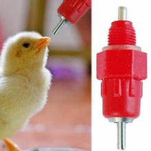 现货养鸡自动饮水器 钢球鸡用饮水器 接水杯 雏鸡喝水球阀批发10g
