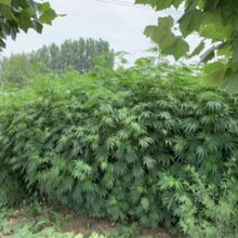 �̓r�S���w�Sˮů�z�۷�ˮ�S��z�������ώ���ˇƷ�������S��z��