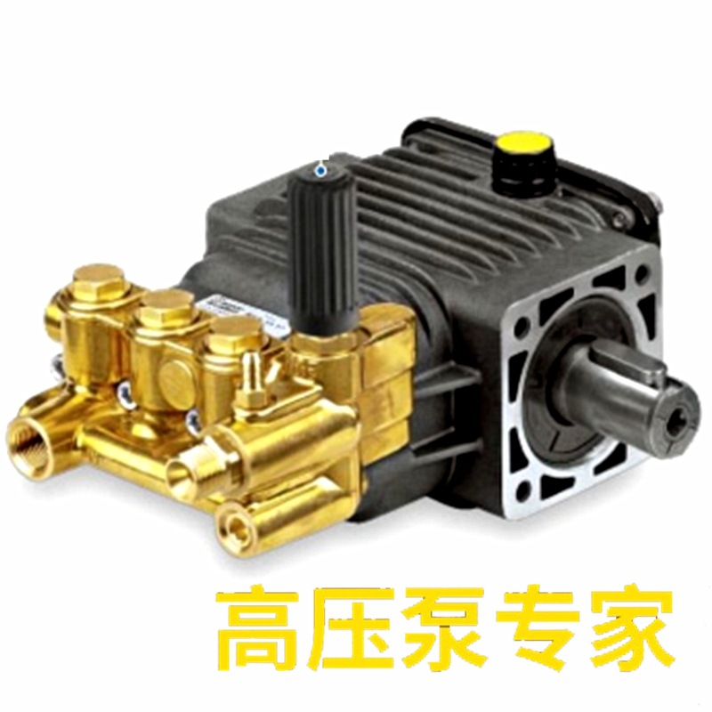 意大利AR高压泵头RS8.15N/RS11.18N/RS13.17N/RS15.15N外轴柱塞泵