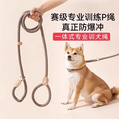 犬のロープ防爆パンチpチェーンは犬の牽引ロープを散歩します。
