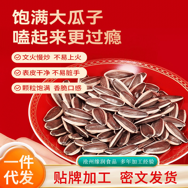 葵花籽 瓜子批发代发 新货原味多口味生瓜子大瓜子零食炒货特产
