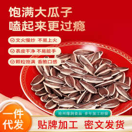 葵花籽 瓜子批发代发 新货原味多口味生瓜子大瓜子零食炒货特产