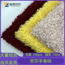 现货芭莎羊卷毛绒布料 时装沙发箱包玩具羊毛绒面料羊羔绒圈圈绒