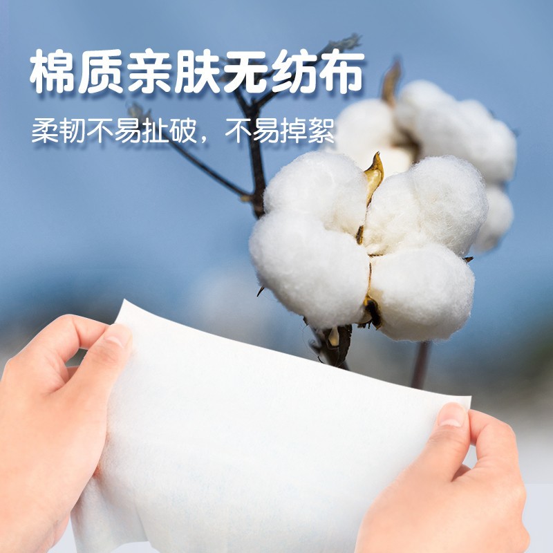 Hainuo Innovi Mini Wet Wipes Small Packet for Sterilization and Disinfection Portable Pack 8 Tablets*8 Pack/Carry