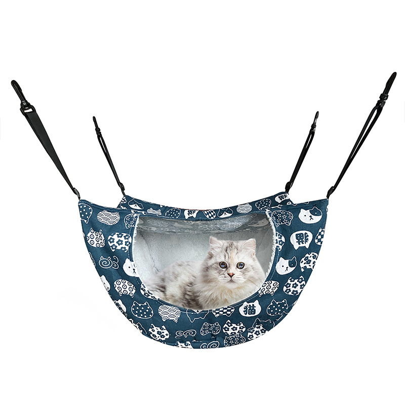 파란 고양이