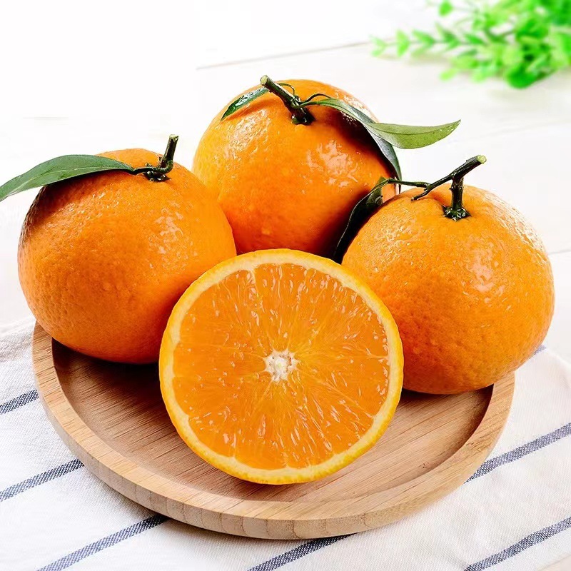 微信图片_2022060115392515