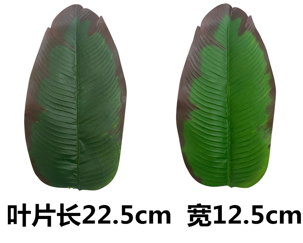 未命名_副本