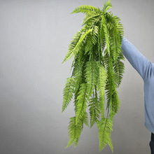 ���Xާ��ֲ��Gֲ�~��˹ާ�ڒ�ާ�~��ֲ��ާ�~��˹������ڒ�