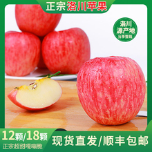 【顺丰包邮】新果洛川苹果新鲜当季红富士水果12/18颗产地直发